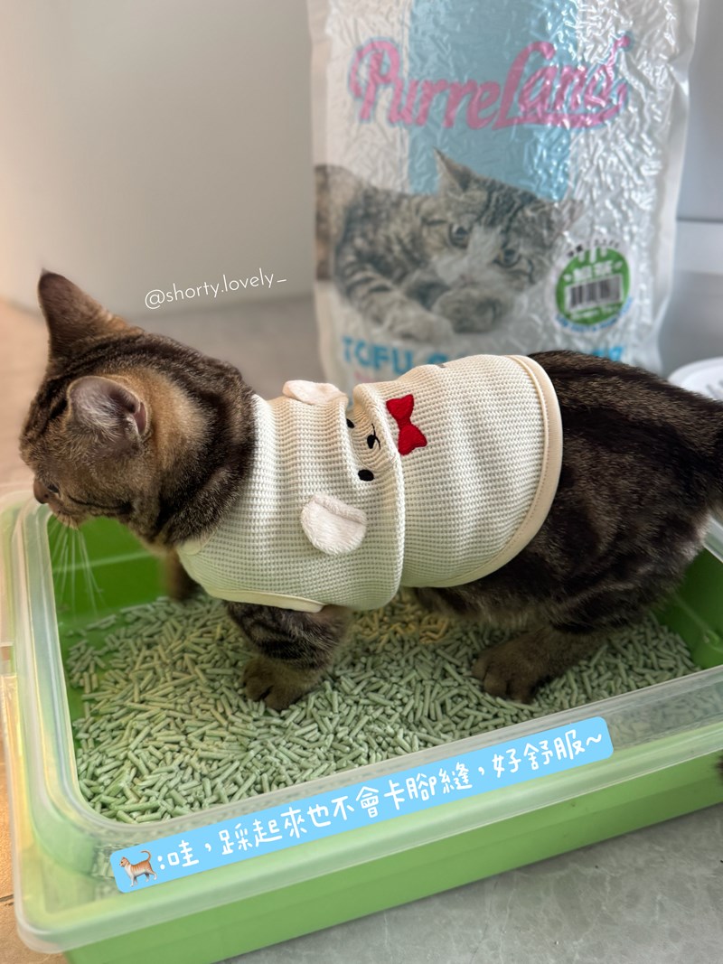 女人知己試用大隊,口碑行銷,部落客行銷,PurreLand 倍淨豆腐貓砂,好市多購買,COSTCO購買,豆腐貓砂,PurreLand倍淨,低粉塵,易清理,可沖馬桶,提供絕佳的除臭與凝結力,豆腐貓砂評價,貓砂評價,使用心得,貓砂分享,好用,原味,綠茶,豆腐砂,水量需完全覆蓋貓砂,水量需貓砂的2~3倍以上,豆腐砂評價,高CP值,划算